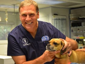 Bradley Hills Animal Hospital, A Unique Animal Healthcare Experience