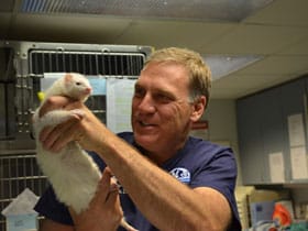 tower hill animal hospital tower hill animal hospital